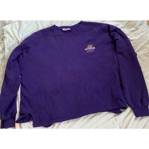 NBA All star weekend Phoenix Arizona 1995. Purple Crewneck Sweater. Men’s XL